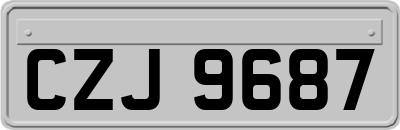 CZJ9687