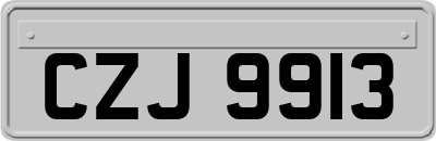 CZJ9913