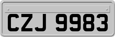 CZJ9983