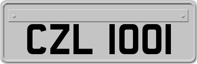 CZL1001