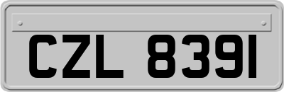 CZL8391