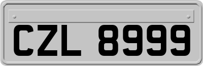 CZL8999