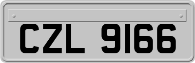 CZL9166