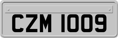 CZM1009