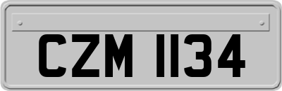 CZM1134