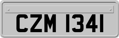CZM1341