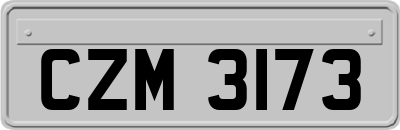 CZM3173