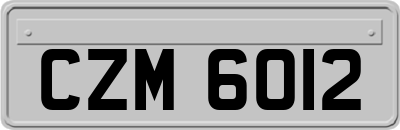 CZM6012