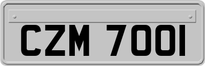 CZM7001