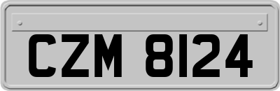 CZM8124