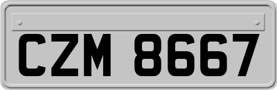 CZM8667