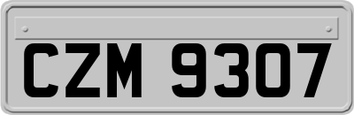 CZM9307