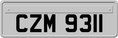 CZM9311