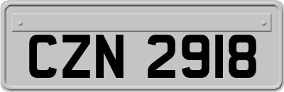 CZN2918