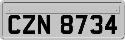 CZN8734