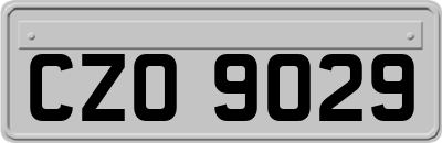 CZO9029