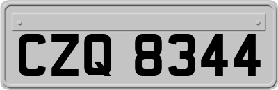 CZQ8344