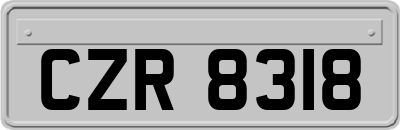 CZR8318