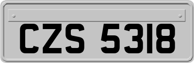 CZS5318
