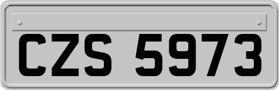 CZS5973