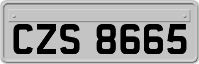 CZS8665