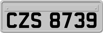 CZS8739