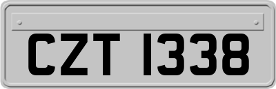 CZT1338