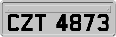 CZT4873