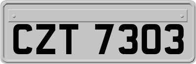 CZT7303