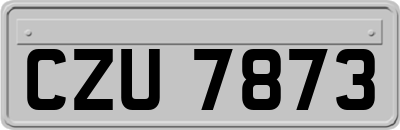 CZU7873