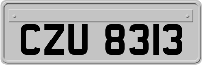 CZU8313