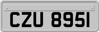 CZU8951