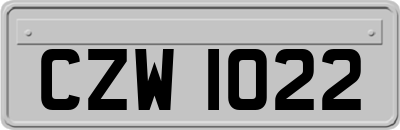 CZW1022