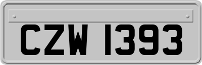 CZW1393