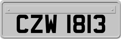 CZW1813
