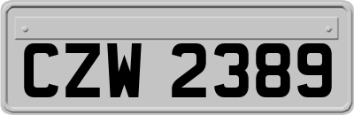 CZW2389
