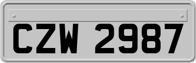 CZW2987
