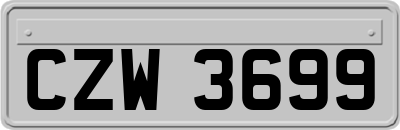 CZW3699