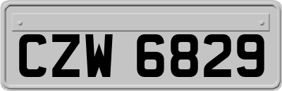 CZW6829