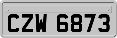 CZW6873