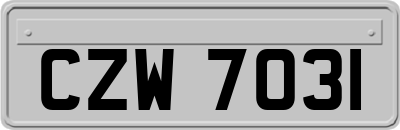 CZW7031
