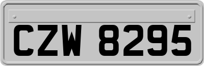 CZW8295