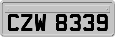 CZW8339