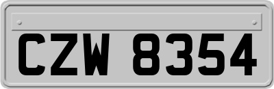 CZW8354
