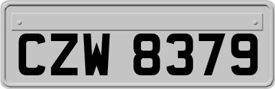 CZW8379