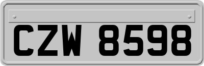 CZW8598