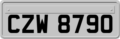 CZW8790