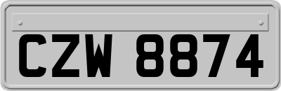 CZW8874