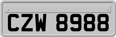 CZW8988