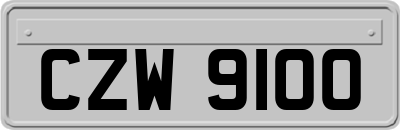 CZW9100